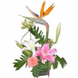 κʻٵ